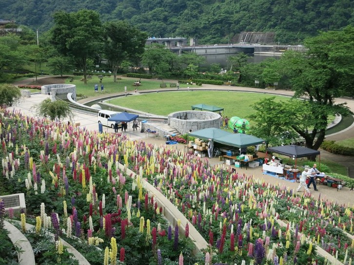 花の苑池・水の苑池花壇改修実施設計業務委託