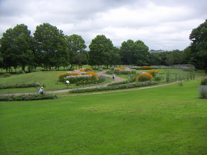 万博公園 夏の見どころ実施設計